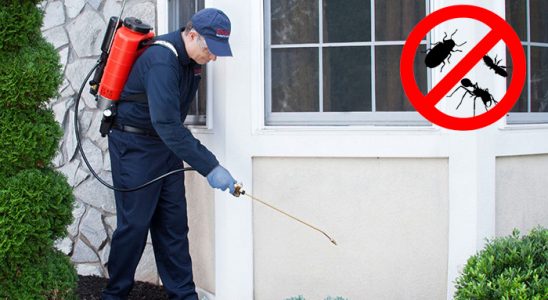 Seyitgazi Hamam Böceği İlaçlama böcek ilaçlama ve haşere kontrolü — ilaclama-tr.com